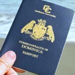 Concerns Rise Over Citizenship by Investment Programs After Sanctions-Breaking Case