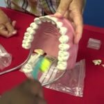 UK Dentist Partners With Colgate To Promote Oral Health In St. Lucia Schools